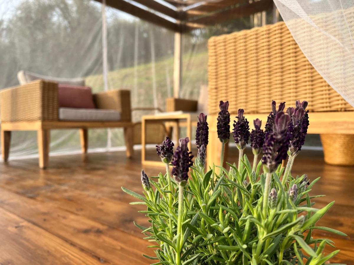 Casa Del Pino Bed & Breakfast Borgo a Buggiano Luaran gambar