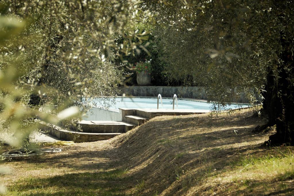 Casa Del Pino Bed & Breakfast Borgo a Buggiano Luaran gambar